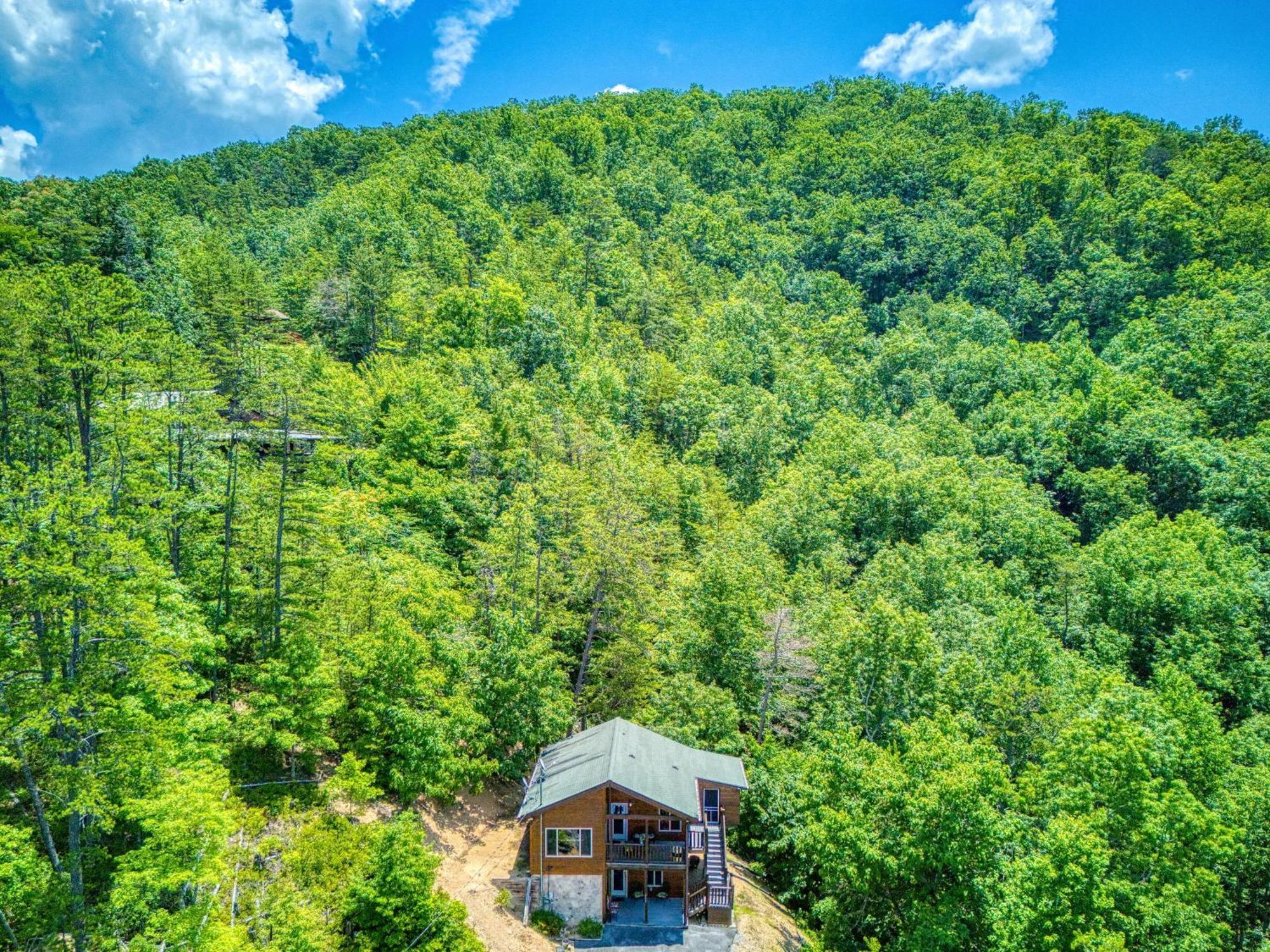 Bear Elegance Vila Sevierville Exterior foto